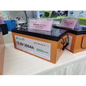 Deep Cycle Lion Lithium Rv Battery 100ah 12v 24v Enhanced Flooded Dual Purpose