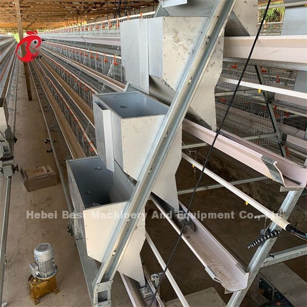 Africa Hot Galvanized 4 Tiers Poultry Layer Battery Cage 25 Years Lifespan For