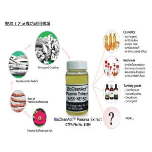 New Arrival 98% paeoniflorin chinese herbaceous peony extract powder