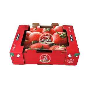 Custom Cardboard Paper Fruit Vegetable Suitcase Cardboard Box Packaging Tomato