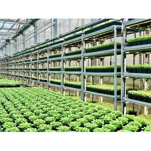 Indoor 120W 2.5umol/J Quantum Led Grow Lights