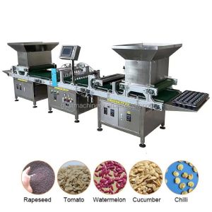 Manufacturing Plant Seeding Vegetable Seeds Sowing Machine with High Survival