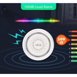 Sound And Light Alarm
