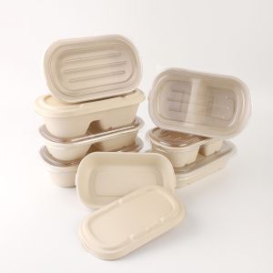 OEM Bagasse Salad Bowl Environmentally Friendly Disposable Food Containers
