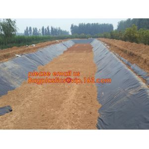 eco-friendly hdpe geomembrane liner geomembrane price,eco-friendly hdpe