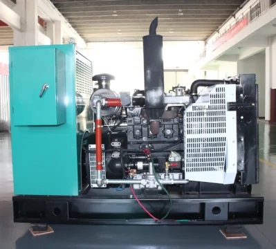 30kw 37.5kVA Revo Biogas Biomass Methane Generator For Agricultural Production