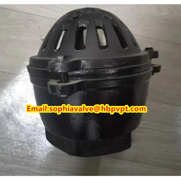 Pawofuou export BS21 cast iron foot valve from China