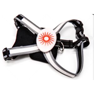 Eco Friendly Flashing LED Dog Harness , Highly Reflective Dog Harness With LED