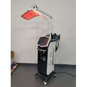 Multifunction 13 In 1 oxygen Therapy Facial Machine 300w 240V