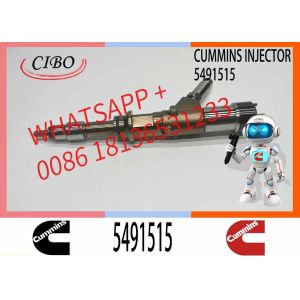 Common Rail Injector High pressure fuel injector 5491515 4307475 4307468 5491515