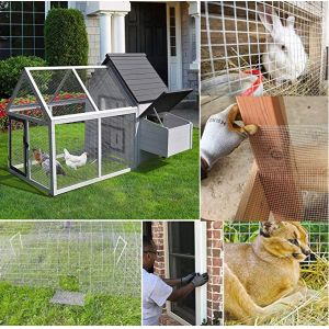 Cheap and high quality galvanized wire mesh corn mesh chicken fence rabbit fence