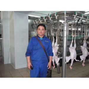 Wholesale New Arrival Automatic 2000BPH Poultry Chicken Slaughtering Machine Line from china suppliers