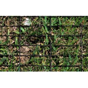 14 Gauge Welded Black PVC Coated Wire Mesh Fencing 1X3 inch 6ft Height