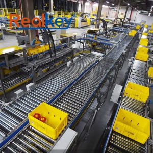 High Reliability Automatic Roller Conveyor System Customizable Length
