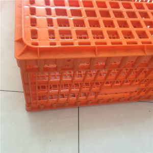 Plastic crates for the transfer of chickens