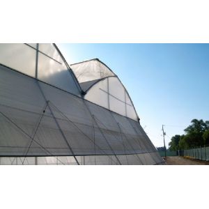 Buy cheap Efficient Insulation Multi Span Greenhouse / Large Plastic Greenhouse Strong from wholesalers