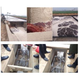 3000L/Hour Cattle Chicken Poultry Halal Meat Processing Mobile Wastewater