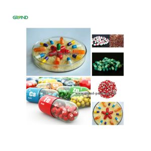 NJP 800 Fully Automatic Capsule Filling Machine