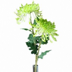 Wholesale Real Touch PU Chrysanthemum, New Design from china suppliers