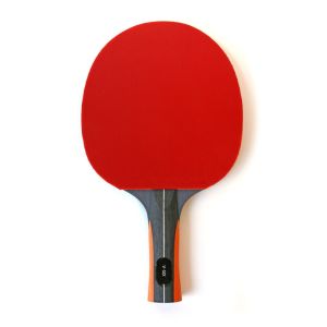 Professional Table Tennis Paddle Inverted Pips Anatomic Composite Handle Sponge