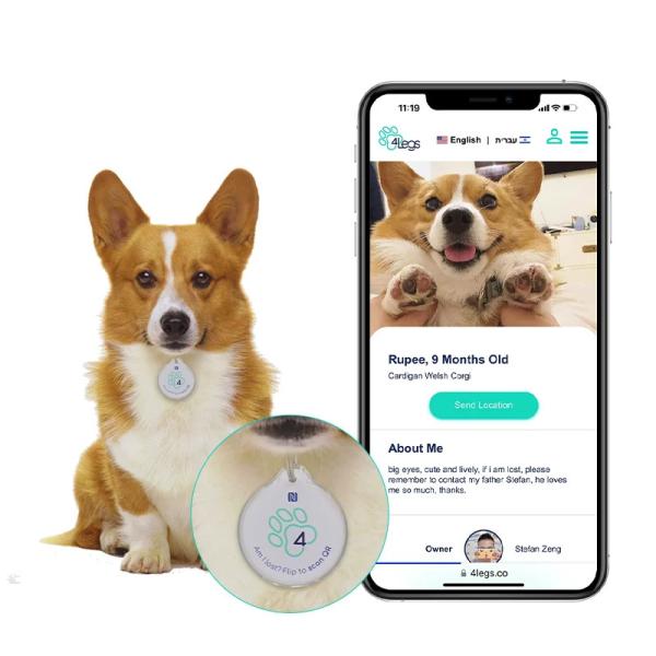 Quality Personalized Editable Tag Upgraded Custom NFC Blank Pet Tracking Epoxy NFC Tags for sale