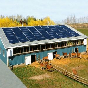 Wholesale Galvanized Ground Mounted Solar System For Greenhouse from china suppliers
