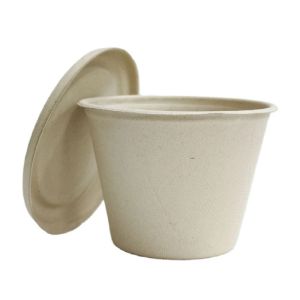 Environmental Disposable Compostable Sugarcane Bagasse Cup Lid For Takeaway Cup