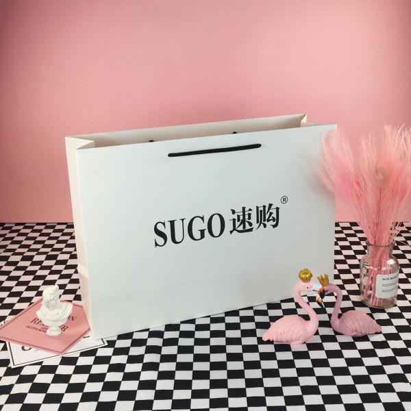 Recyclable Biodegradable Custom Handle Gift Paper Bag Packaging for Small Business