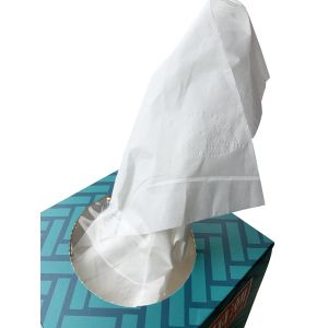 2 Ply Cube Boxed Disposable Facial Tissue Multipurpose Durable