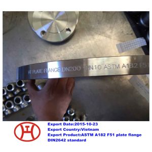 Wholesale UNS S31803 1.4462 ASTM A182 F51 plate flange from china suppliers