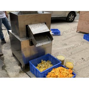 Fruit Pulping Pulpy Mango Juice Making Machine juice Processing Machine