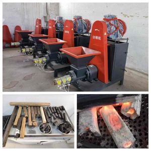 Wood Waste Sawdust Briquetting Machine Straw Biomass Briquette Making Machine