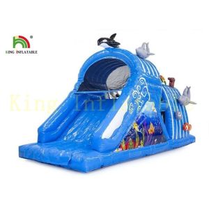 Colorful Sea World Kids Indoor Toys Inflatable Obstacle Course with Fire