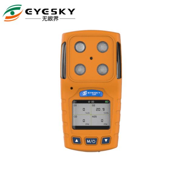 Fast Response Sensor Portable Multi Gas Detector Hazardous TFT Display Long