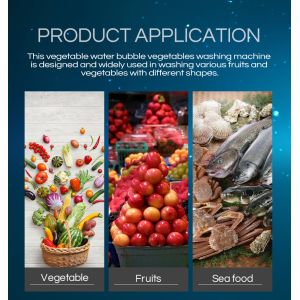 Multifunction Mesh Belt Conveying Fruits Mushroom Vegetable Processing Line