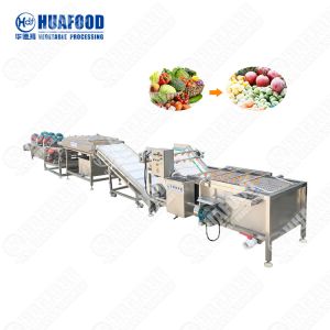 Multifunctional Industrial Fruit Vegetable Puree Machine Vegetable Washer
