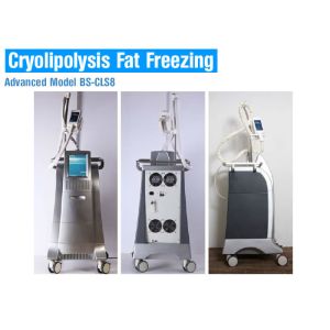Wholesale Liposuction Cryolipolysis Body Slimming Machine , Fat Melting Machine CE Approved from china suppliers