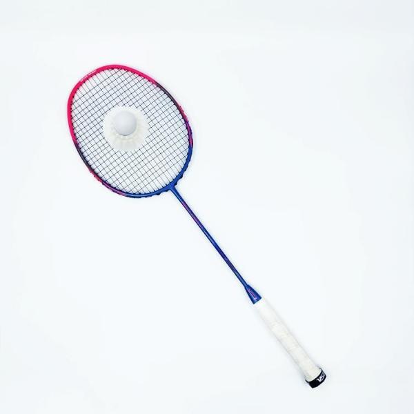 Dmantis D7 Model Wholesale Supply Training Equipment Badminton Racket for