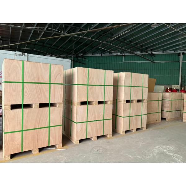 Fully Automatic Commercial Kitchen Hood Fire Suppression System