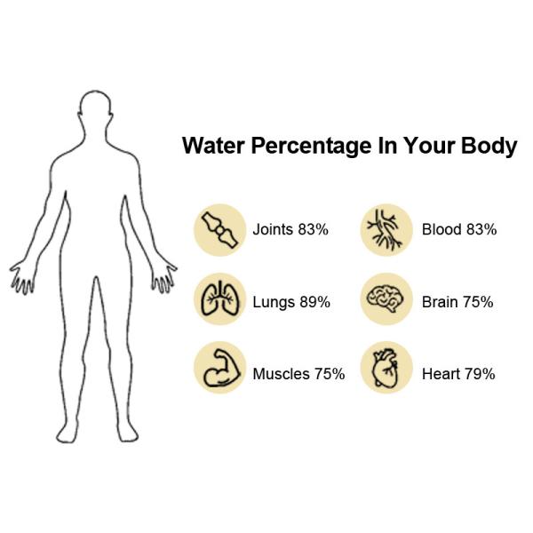 Stainless Steel Housing H2 Water Machine All In One For Household