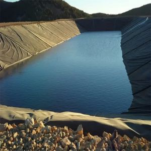 Industrial Design Style HDPE Geomembrane Liner 0.5mm 1.0mm 1.2mm 2mm for Fish
