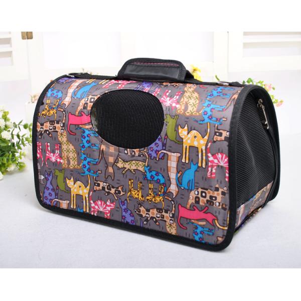 Fashion Pet Backpack Carrier