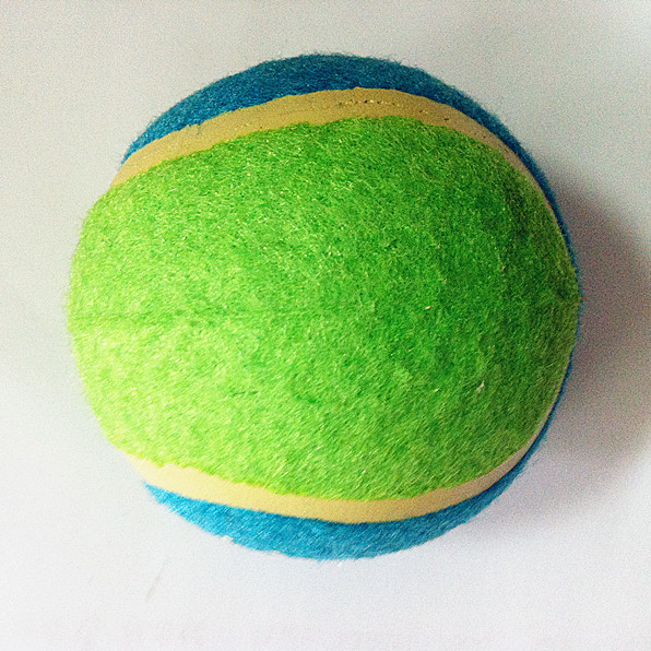Snow printing tennis ball toy