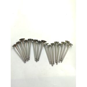 Mported Volkswagen Jetta Syncro 2013-2014 Intake And Exhaust Valves 03C109601J