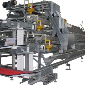 1950×2300×2000 Battery Egg Layer Cage Farming Equipment And Egg Collection