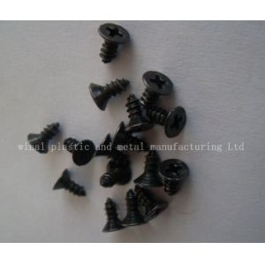 Wholesale Countersunk cross screws，SS,Iron,size and finish according to the request. from china suppliers