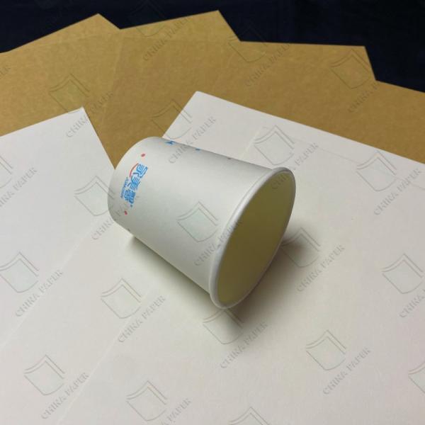 China Factory PE Coated Cup Paper High Quality Cupstock Base Paper In Roll