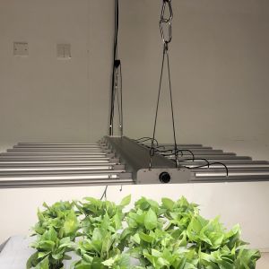 Dimmable 6500K 3500K Full Spectrum Led Grow Light Bar