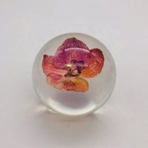 Real Flower Paperweight Dia80mm With Hydrangea Inside