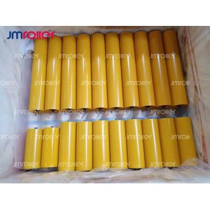 Precision Sealed Bearing Carrying Roller With Waterproof And Dustproof